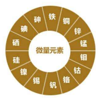 作物生長(zhǎng)需要哪些養(yǎng)料？紅尾鳥(niǎo)農(nóng)業(yè)告訴你！